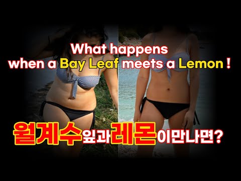 만성 염증, 당뇨, 체중감량에 좋은 월계수잎 레몬티 만드는 방법 -How to make Bay Leaf Lemon Tea for Weight Loss