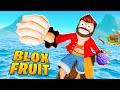 Devenir le roi des pirates sur roblox  blox fruits 1