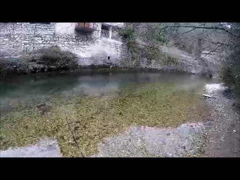La pêche dans les cottages du domaine de Léningrad