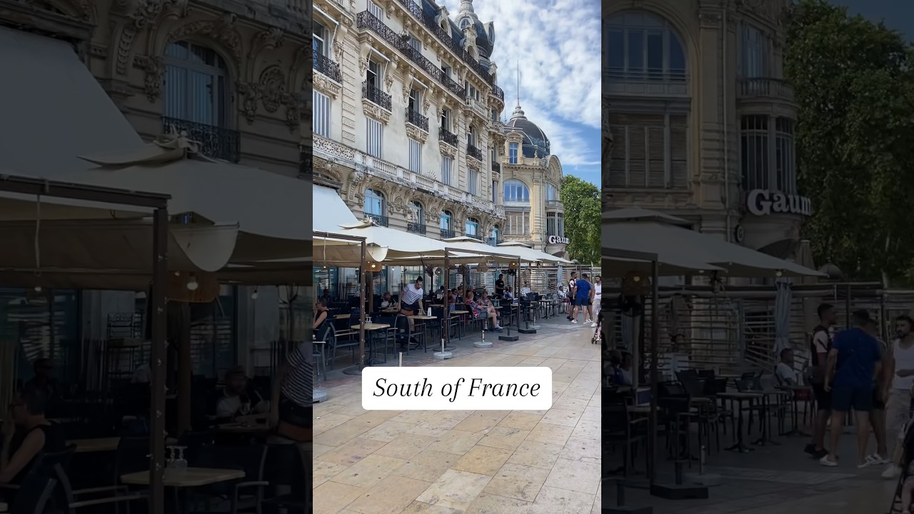 🛫Ready to explore the South of France? Or maybe even thinking of moving here?