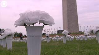 Memorial on the National Mall to honor victims of gun violence