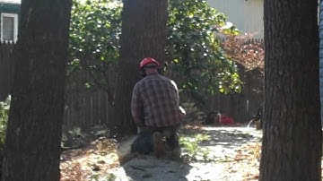 Tree Removal With Crane: Part 1 - Southern NH