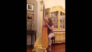 lyon healy harp 11 lyon healy harp 11