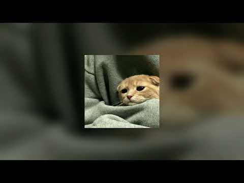 Tabalagh Bellqaleel Vocals Only Osama Al Safi Slowed Reverb Lofi