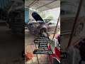 🚗 Car Suspension & Shocker Repair in Pune | Fast, Reliable, 25+ Years Expert Garage