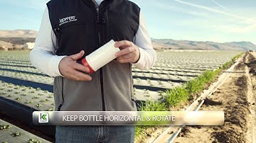 How to Properly Introduce SPIDEX