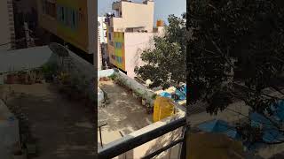 #music #freestyle #trending #explorepage #reels #reelsteady