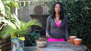 How to Fertilize Your Garden With Nitrogen : Fertilizer & Gardening