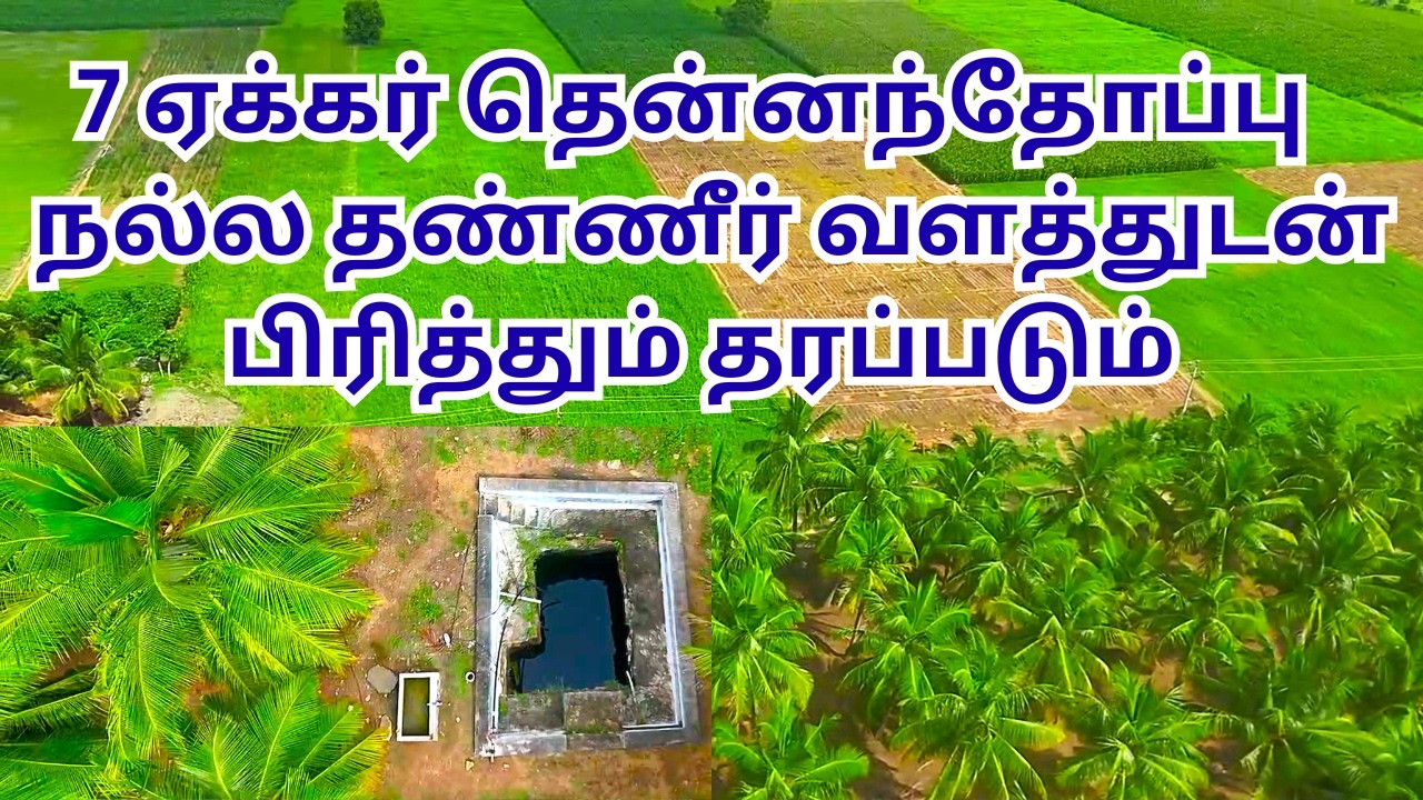 7 акров кокосовой рощи с хорошими водными ресурсами будут переданы в рассрочку.