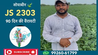 js 2303 soybean variety | js 2303 #youtube #agriculture #soybeanfarming