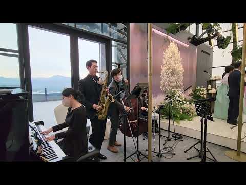 앰배서더서울풀만 남산룸 웨딩연주 건배제의 Days of wine and rosse 재즈4중주 결혼식연주