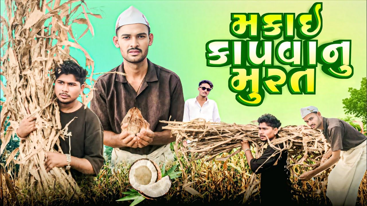 મકાઇ કાપવા નું મૂરત adivasi desi funny comedy mithun mavi Tusharcomedy 