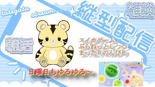 【朝活/雑談/縦型】スイカゲームぷらねっとしつつ、日曜日もゆるゆる【金目とら/VTuber】