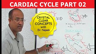 Cardiac Cycle | Systole & Diastole | Dr Najeeb Part 2/8