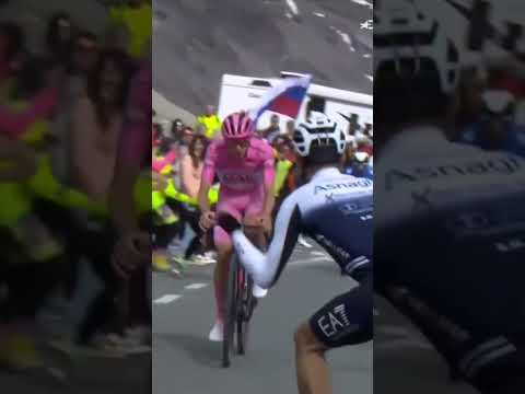 👑 Pogacar assomme le Giro sur l'étape reine #shorts #giro2024 #pogacar