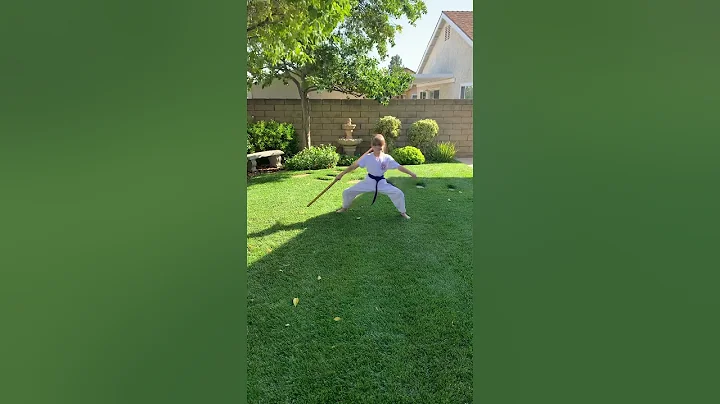 Frances Lyons Kata Bo