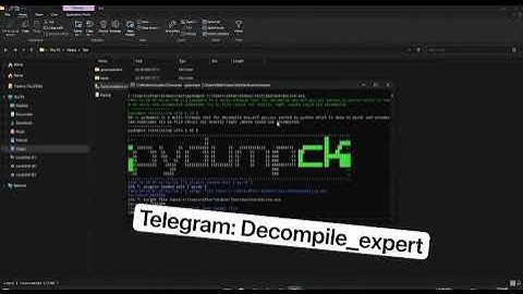 Decompiler Software 1.0