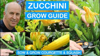 ZUCCHINI GROW GUIDE: How to Sow & Grow zucchini (courgette), marrows & squash organically