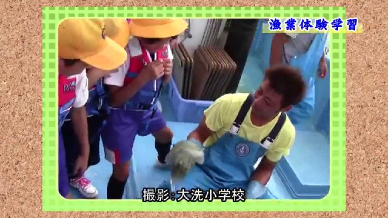 ぼくらの学校 『大洗町立大洗小学校』（H24.11.2）