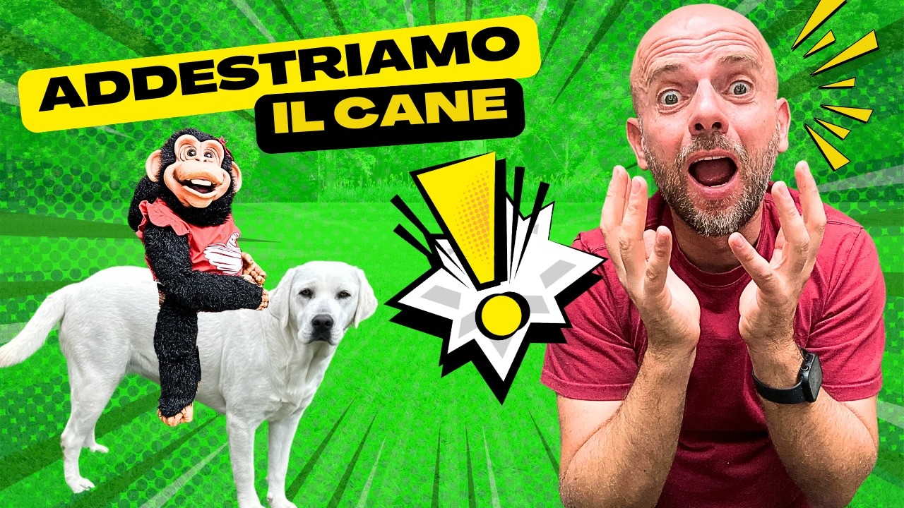 CUCCIOLA ADORABILE - ADDESTRIAMO IL CANE NELLA VITA REALE ISOTTA SI ARRABBIA - IL CANE PARLA
