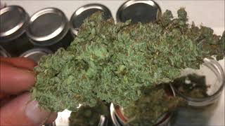 Purple Skunk Mass Auto cured weight/Moby Dick XXL/Gorilla Glue/Stardawg Auto