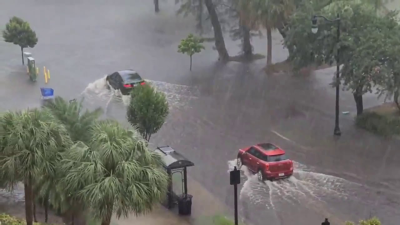 Sunny Isles Beach, Florida. Cars driving through the