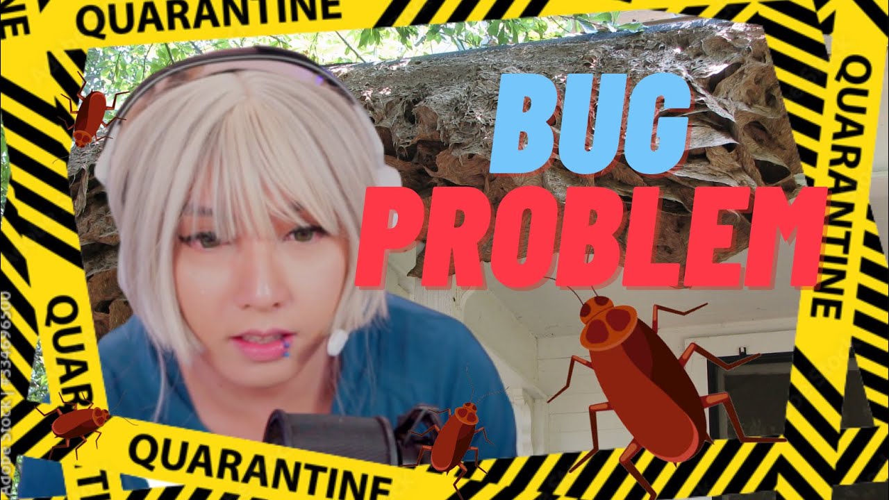 Blondie's Bug Traumas | Streamlites
