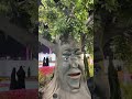 مهرجان الزهور ينبع