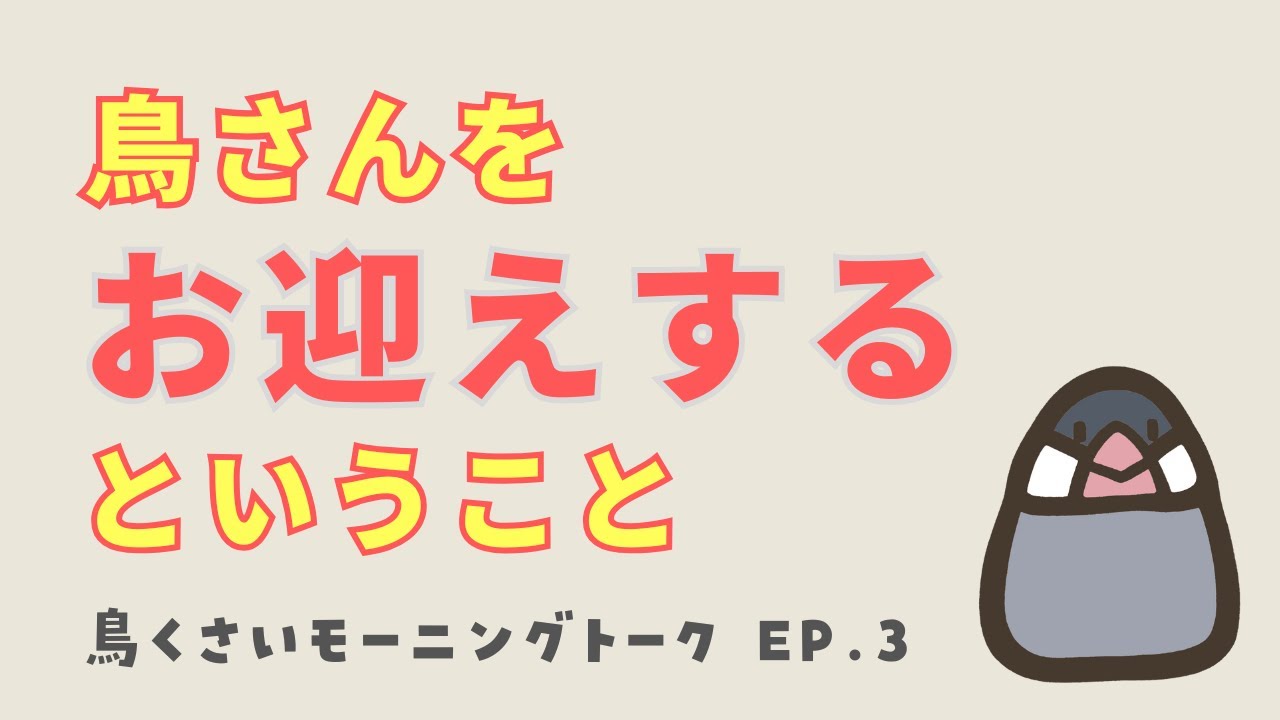 鳥兎様用ページ EP.3 ~Welcoming a bird~ - YouTube