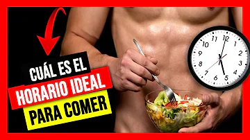 ¿Cuáles son las mejores horas para comer y no engordar?