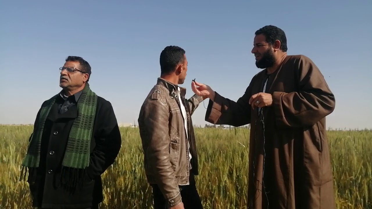 ماهو تفوات الأسعار في الأراضى بالفرافره ه☝️بشركه الفلاح بالفرافره ت ٠١٢٠٥٠٥٣٥٠٧ ت ٠١٠٠٨٧٩١٢٨٥ اسامه