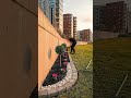 DIY Curved Garden Bed + LED Lights 🌿✨ (Step-by-Step Makeover)
