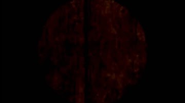 CSS | jizo. d2 Wallbang