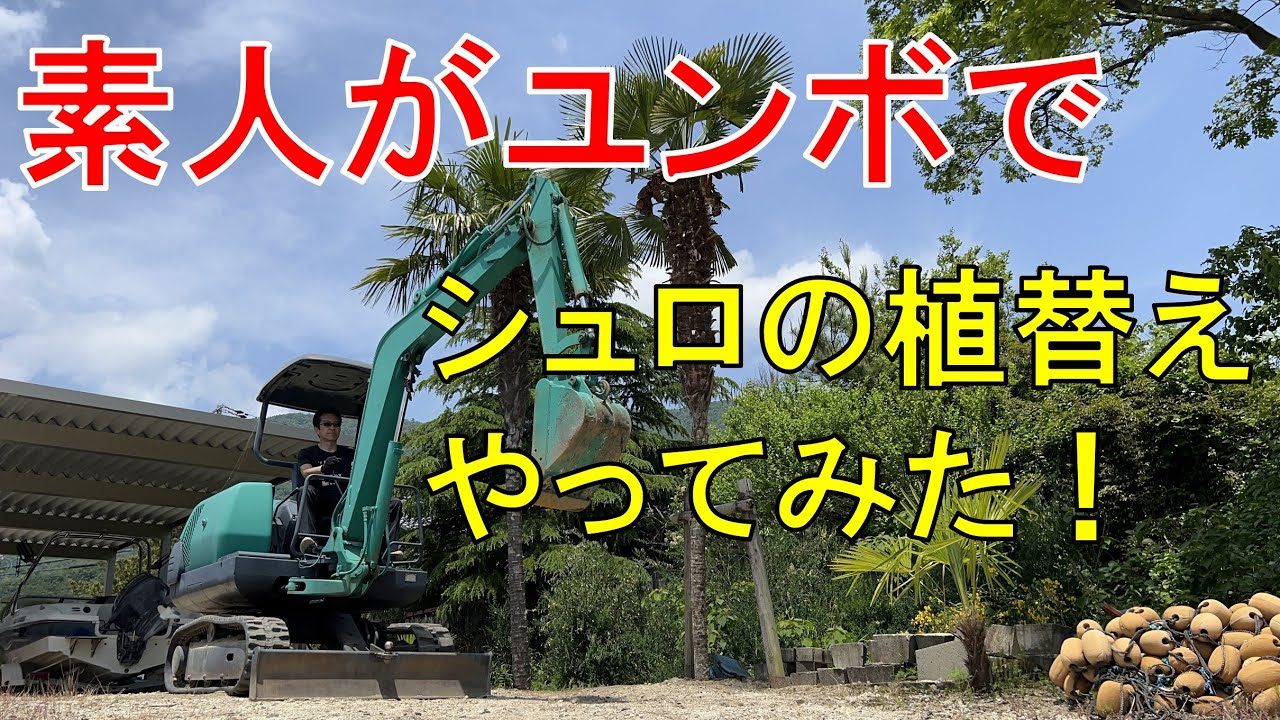 50代の趣味】素人がユンボでシュロの植替え作業やってみました！ - YouTube