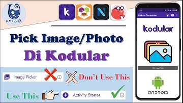 Cara Mengambil dan Menampilkan Image atau Foto di Kodular tanpa Image Picker