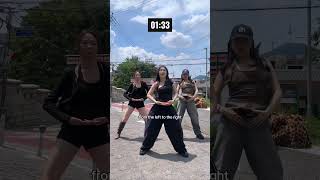 We flew all the way to KOREA to teach a 1 Minute Dance Tutorial⁉️