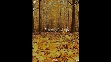 سورة النساء القارئ #ياسر_الدوسري ‎@islam_sobhi ‎@Sonic_islamic #فلسطين#السعودية#المغرب#مصر#الجزائر