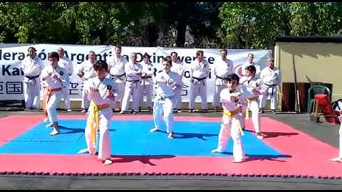 Matsubayashi Shorinryu - Fukyu Gata Ni - Karate No Hi 2015