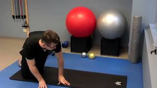 Spinal Mobility Exercise #1 - Alligator