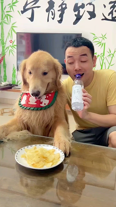 Jackie ate all my chips 😭🤩!! #shorts #shortsfeed