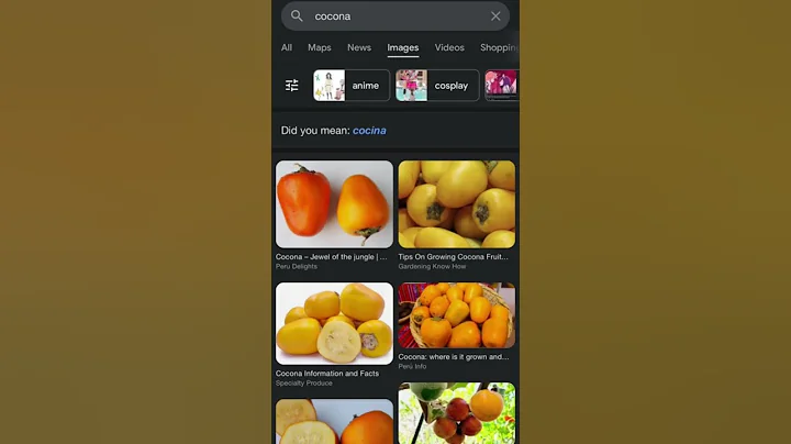 googling XG names without putting xg afterwards~ #jurin #chisa #cocona #hinata #maya #juria #harvey
