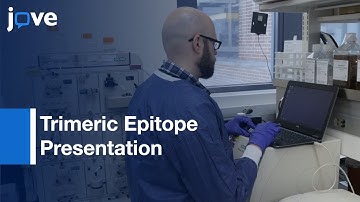 Production-E. coli-Expressed Self-Assembling Protein Nanoparticles l Protocol Preview