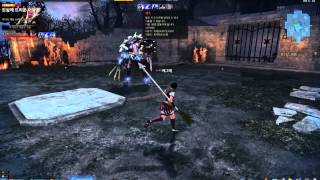 Vindictus (Test server) Lynn SOLO Raid Blood Lord