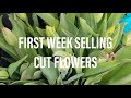 My First Week Selling Cut Flowers | Farm Projects