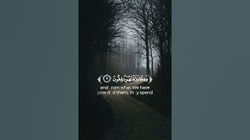 قرآن كريم | إنما المؤمنون الذين إذا ذكر الله وجلت قلوبهم | القارئ فارس عباد | تلاوة خاشعة