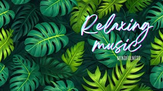Tranquil Harmony: Piano Melodies with Nature Sounds