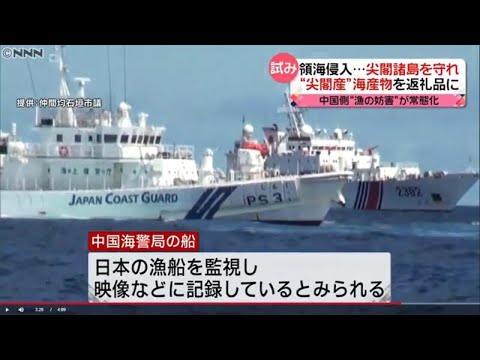 钓鱼岛又起冲突 中方海警船在对峙中撞上日本巡逻舰
