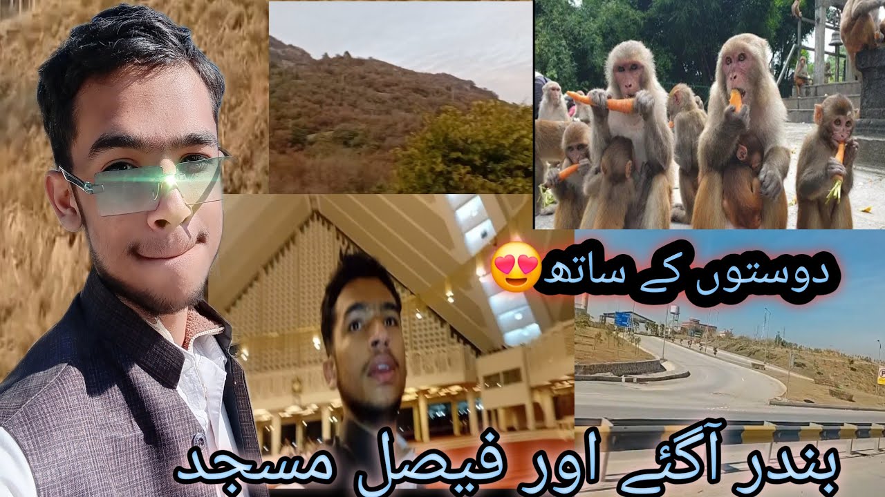 Paharoo pe bandr  or fasil masjid nice maza aagia💯💯😍❤️😁🥰🥰#viral #vlog #duet 