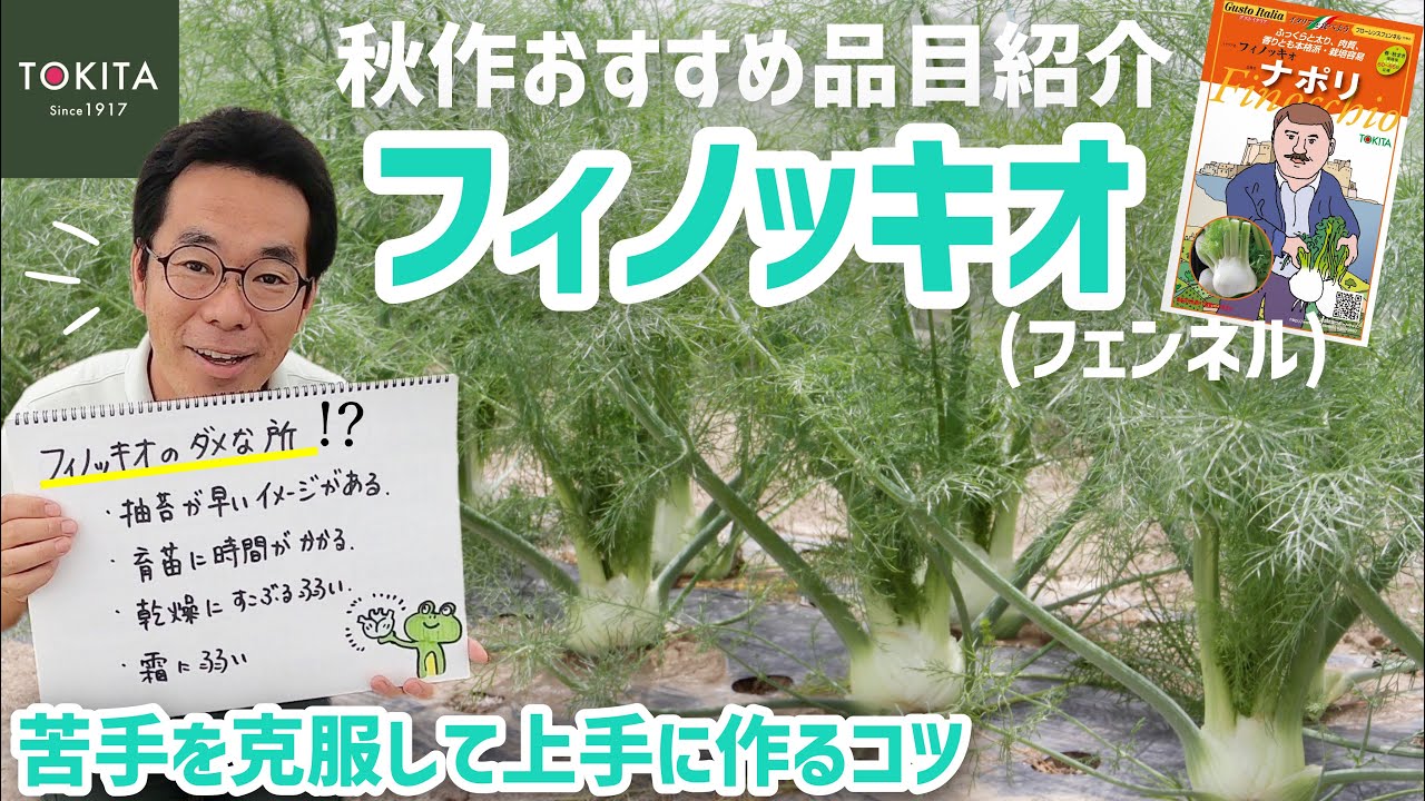 Home Gardening] Tokita Seed's recommended fall crop! Refreshingly
