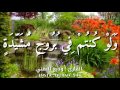 أينما تكونوا يدرككم الموت